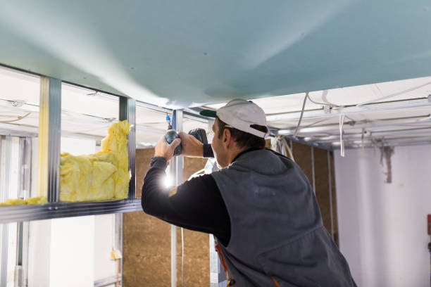 Best Home Insulation Services  in Sagamore, MA