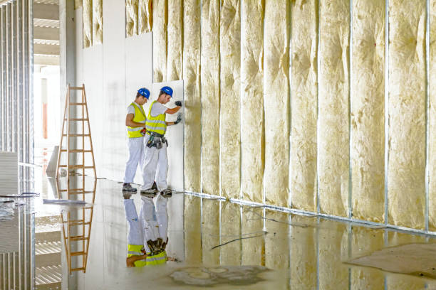 Best Cellulose Insulation  in Sagamore, MA